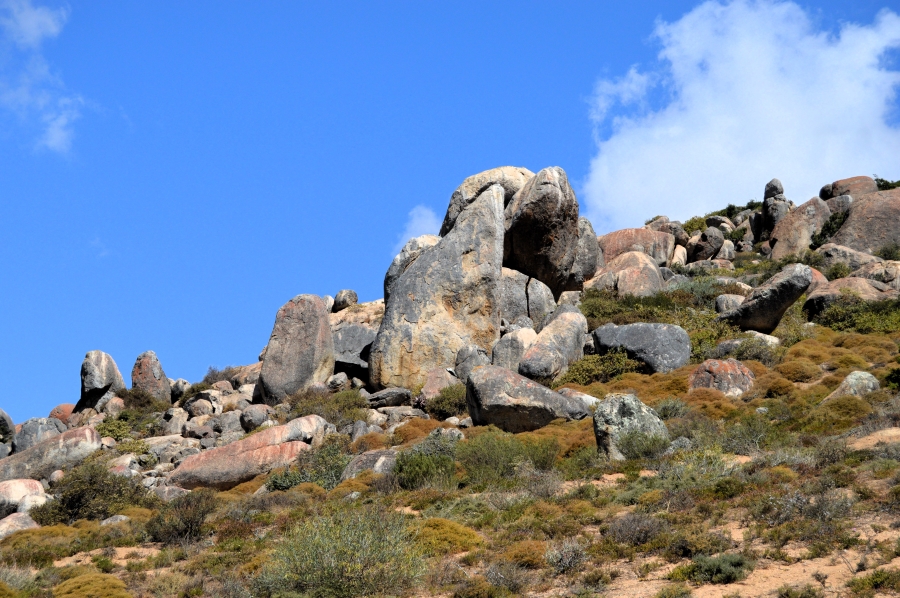 0 Bedroom Property for Sale in St Helena Views Western Cape